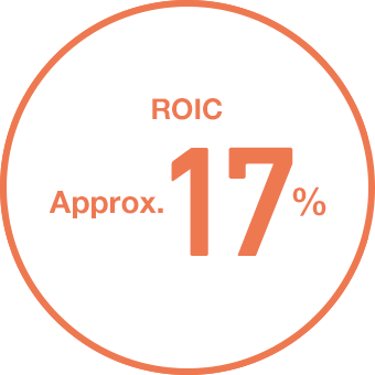 ROIC Approx.17%