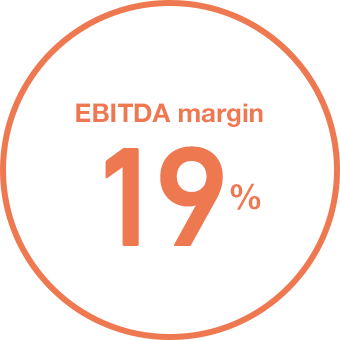 EBITDA margin 19%