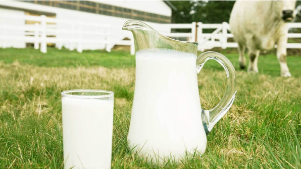 Capacitando a produção leiteira sustentável | Histórias