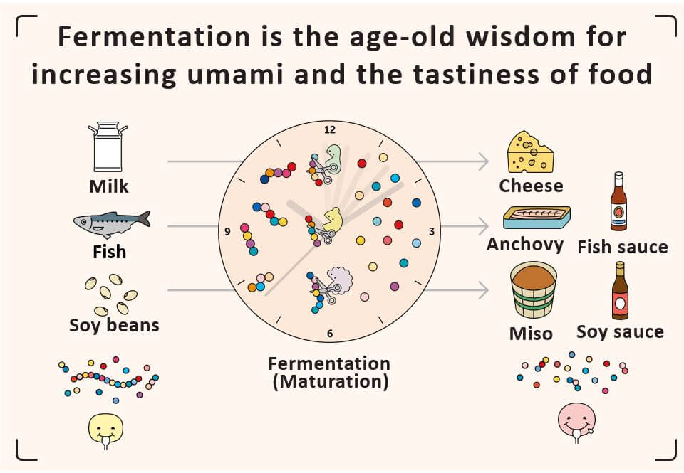 Fermentation is the age-old wisdom for increasing umami and the tastiness of food