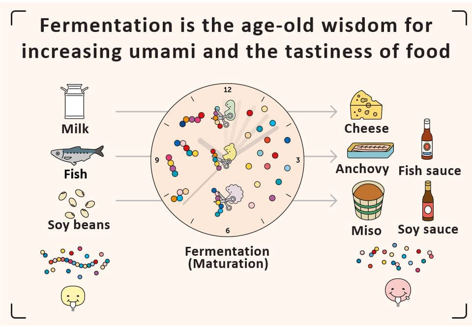 A fermentação é a sabedoria milenar para aumentar o umami e o sabor dos alimentos