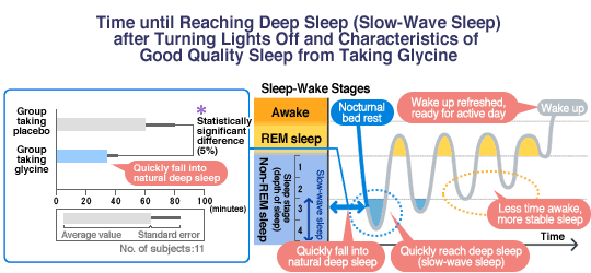 The group that took glycine reached slow-wave sleep more quickly.
