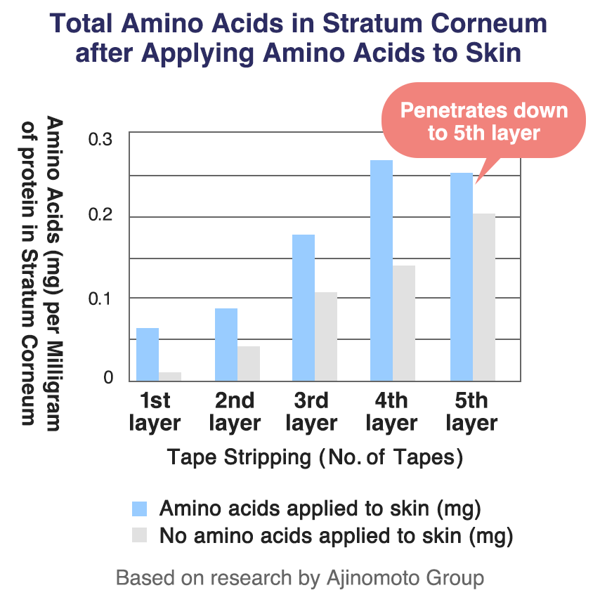 아미노산을 피부에 도포한 후 각질층의 총 아미노산