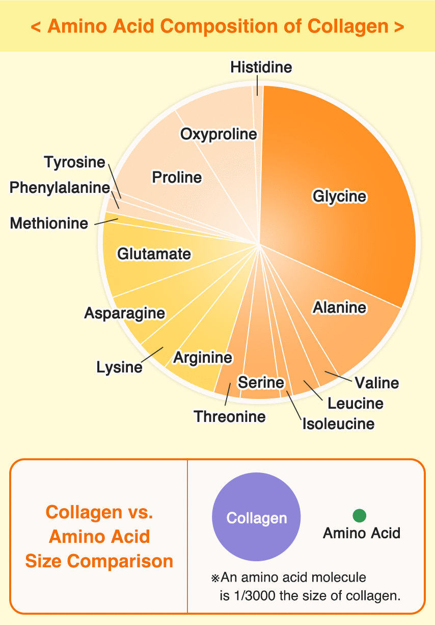 Composición de aminoácidos del colágeno.
