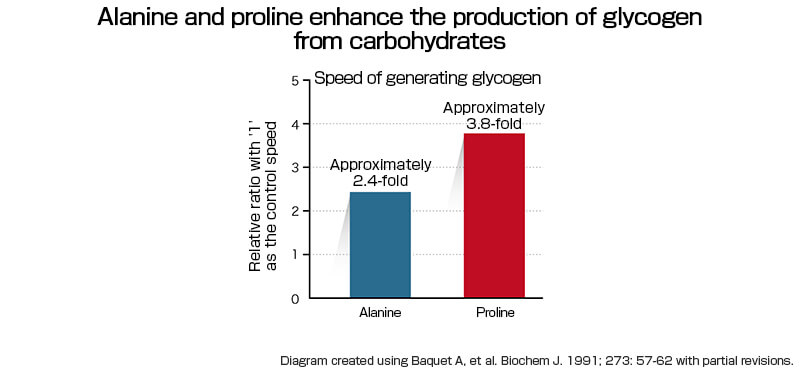 Alanin and proline enhace the production of glycogen from carbonhydrates
