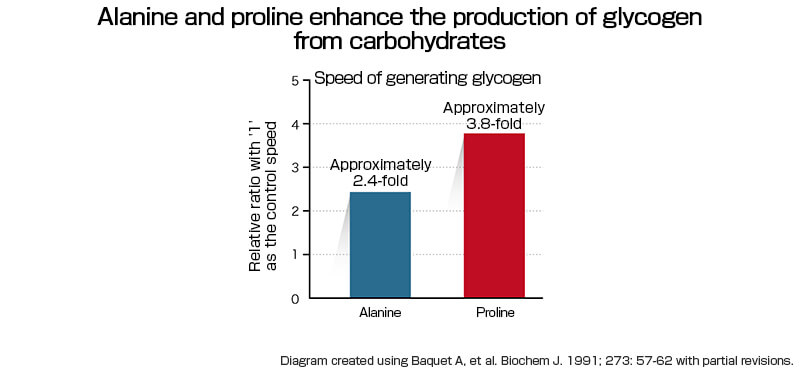 丙氨酸和脯氨酸增強碳水化合物產生糖原