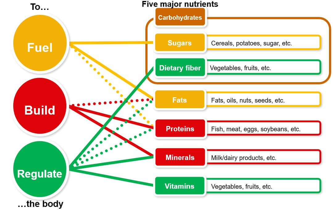 أمثلة على الأطعمة التي تحتوي على العناصر الغذائية الخمسة الرئيسية