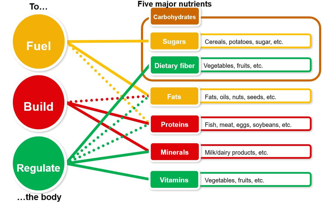 Exemples d'aliments contenant les cinq principaux nutriments