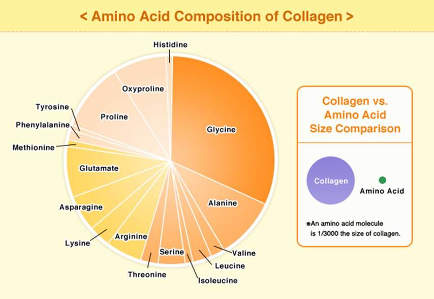 Composición de aminoácidos de colágeno