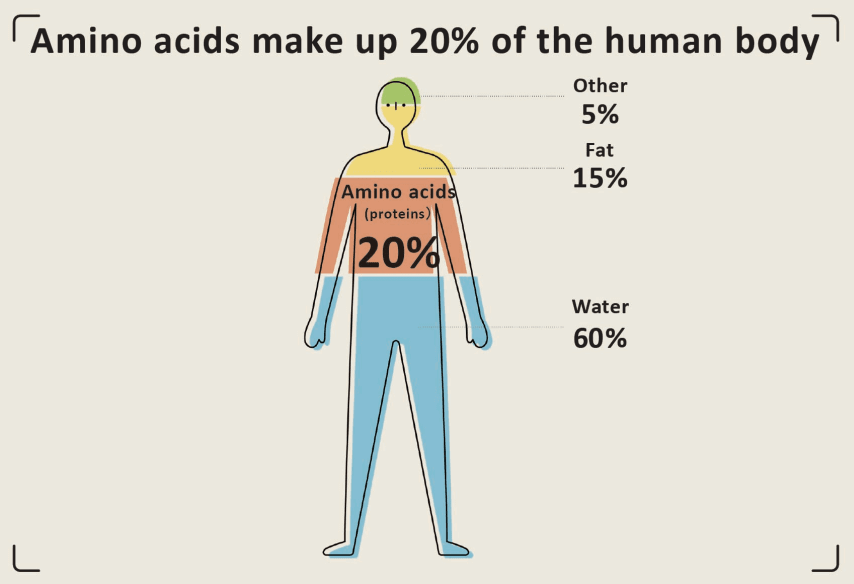 20 Percent Amino Acids