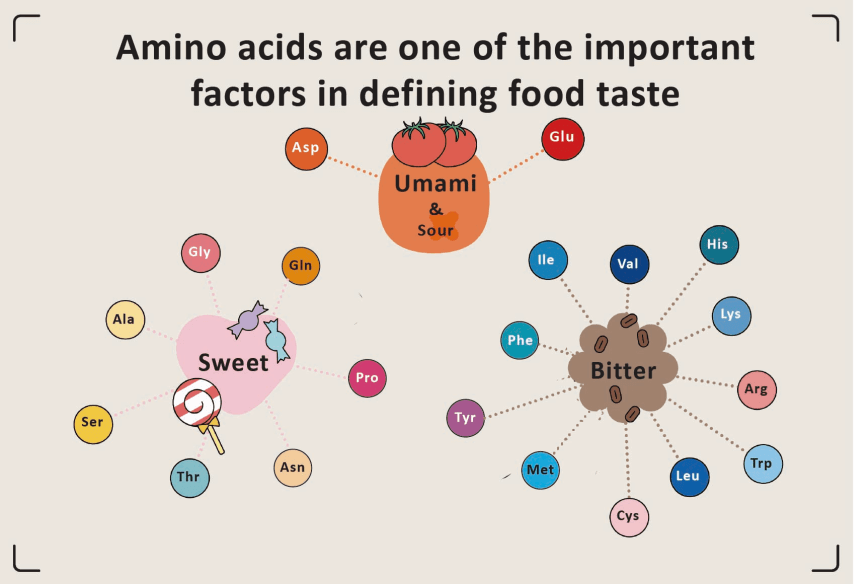 Fatores na definição do sabor dos alimentos