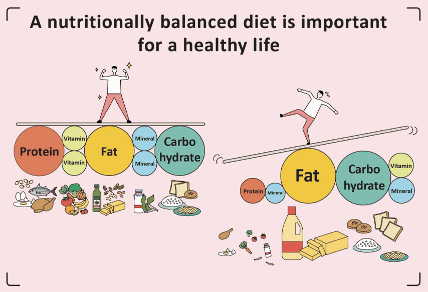 Régime nutritionnellement équilibré pour une vie saine