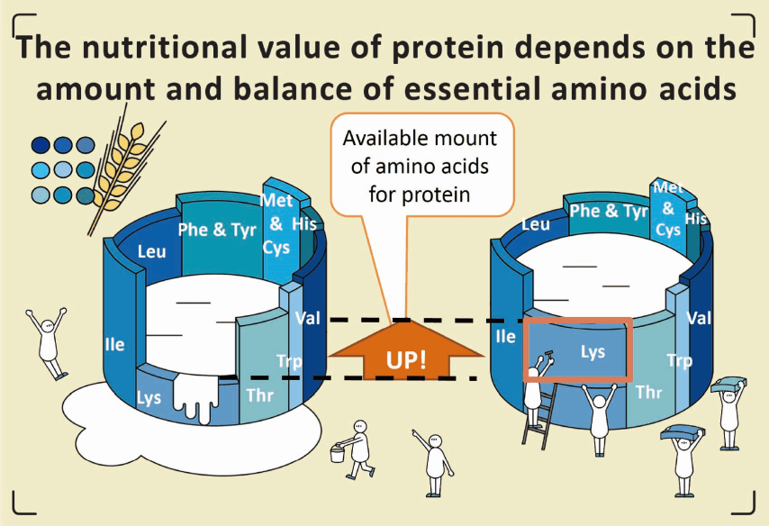 Los aminoácidos esenciales están ahí
