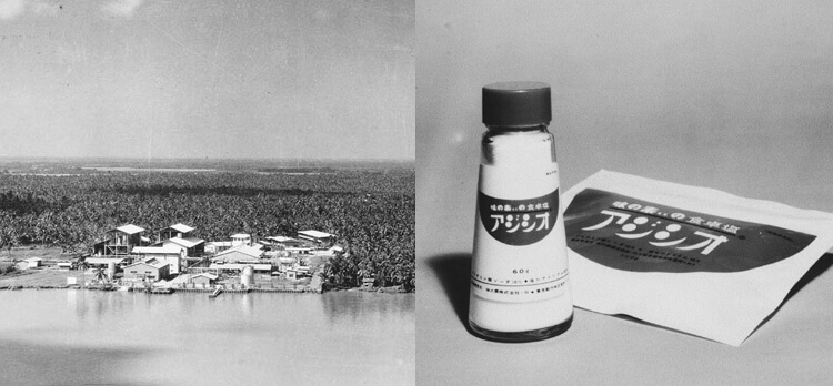 A Timeline Of Our History History About The Ajinomoto Group