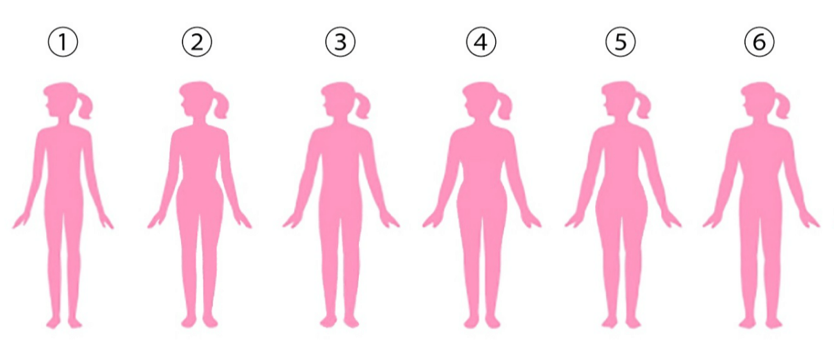 Laquelle de ces morphologies correspond le mieux à votre morphologie idéale ?