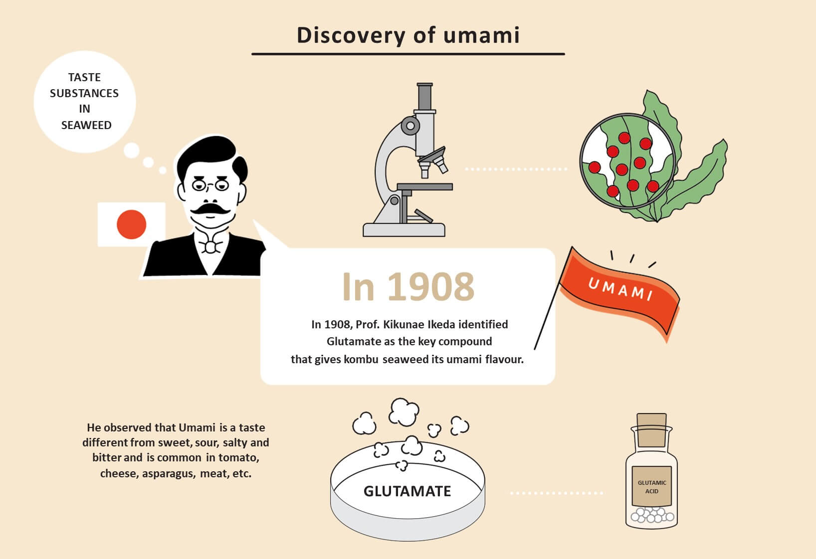 In 1908, Prof. Kikunae Ikeda identified glutamate as the key compound that gives kombu seaweed its umami flavor.