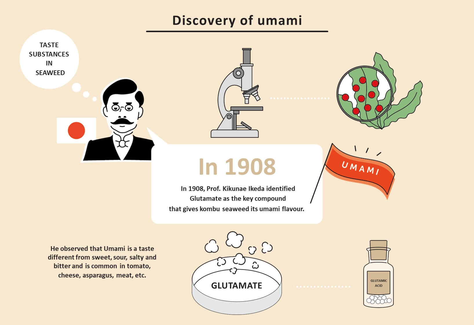 1908 年，池田菊苗教授將谷氨酸確定為賦予海帶鮮味的關鍵化合物。