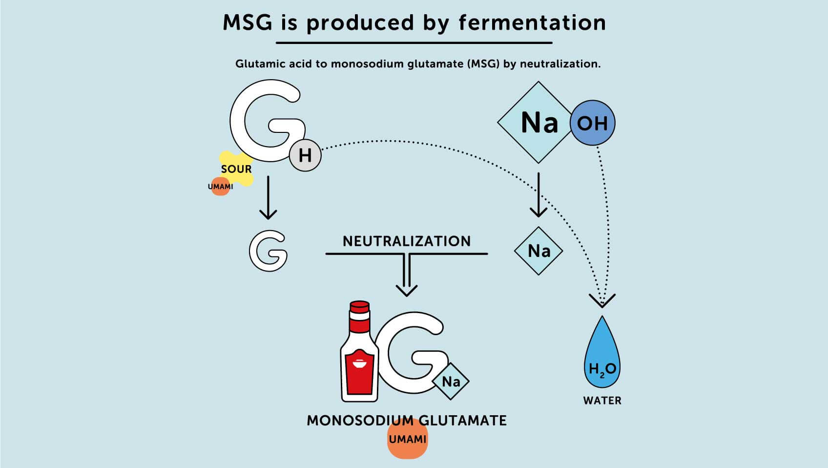 Msg được sản xuất bằng quá trình lên men