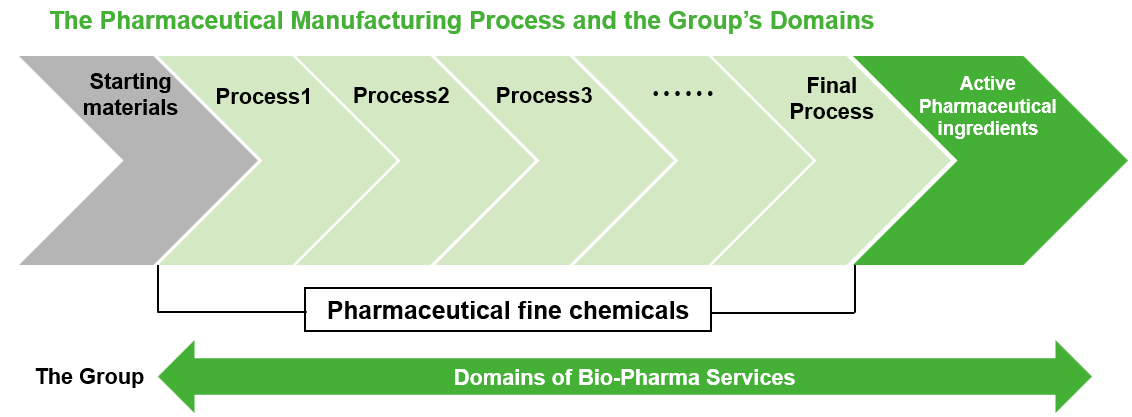 The Pharmaceutical Manufacturing Process and the Group’s Domains