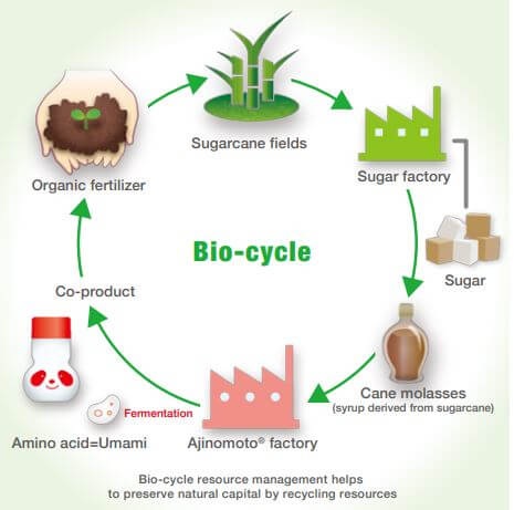 a gestion des ressources en biocycle