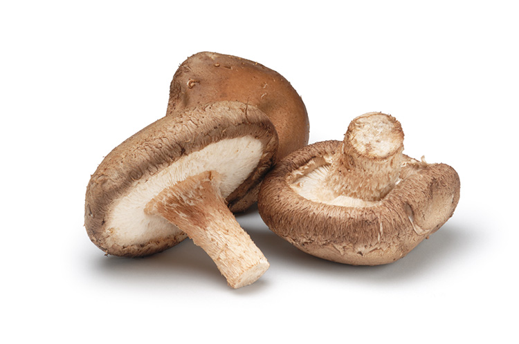 Shiitake dashi