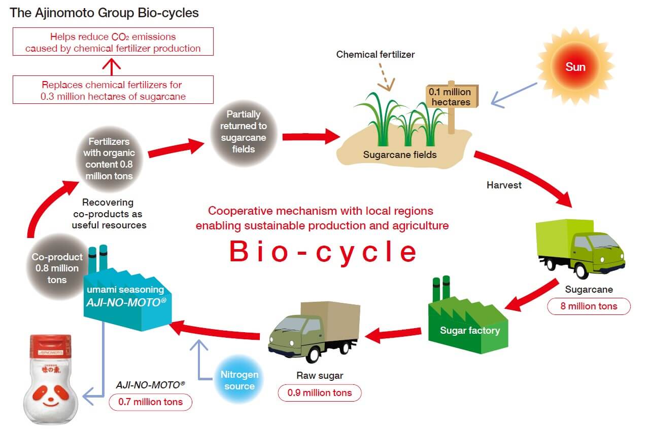 Les biocycles du groupe Ajinomoto