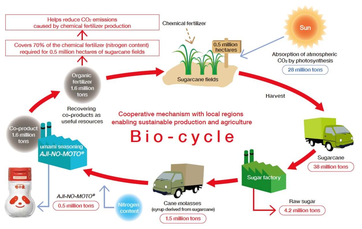 Biocycle