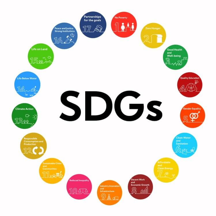 It is a symbol mark icon representing 17 SDGs.