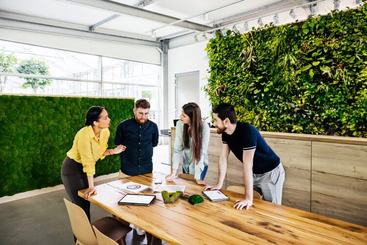 Un grupo de asociados de negocios se acurrucó alrededor de una mesa para tener una reunión seria y compartir ideas en un espacio de oficina verde y moderno.