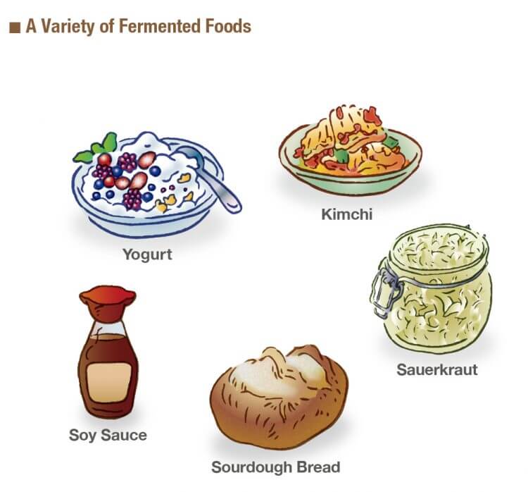 Uma variedade de alimentos fermentados