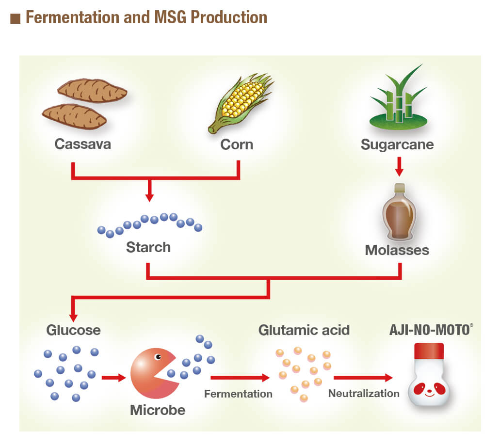 Fermentação e produção de MSG