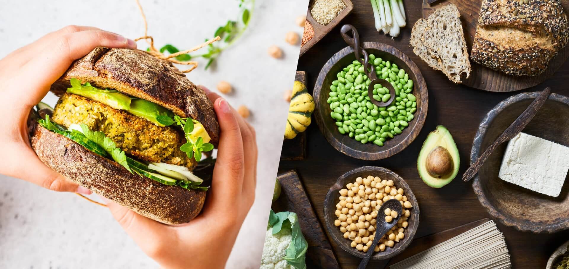 Thriving on plant-based protein: solutions for a sustainable