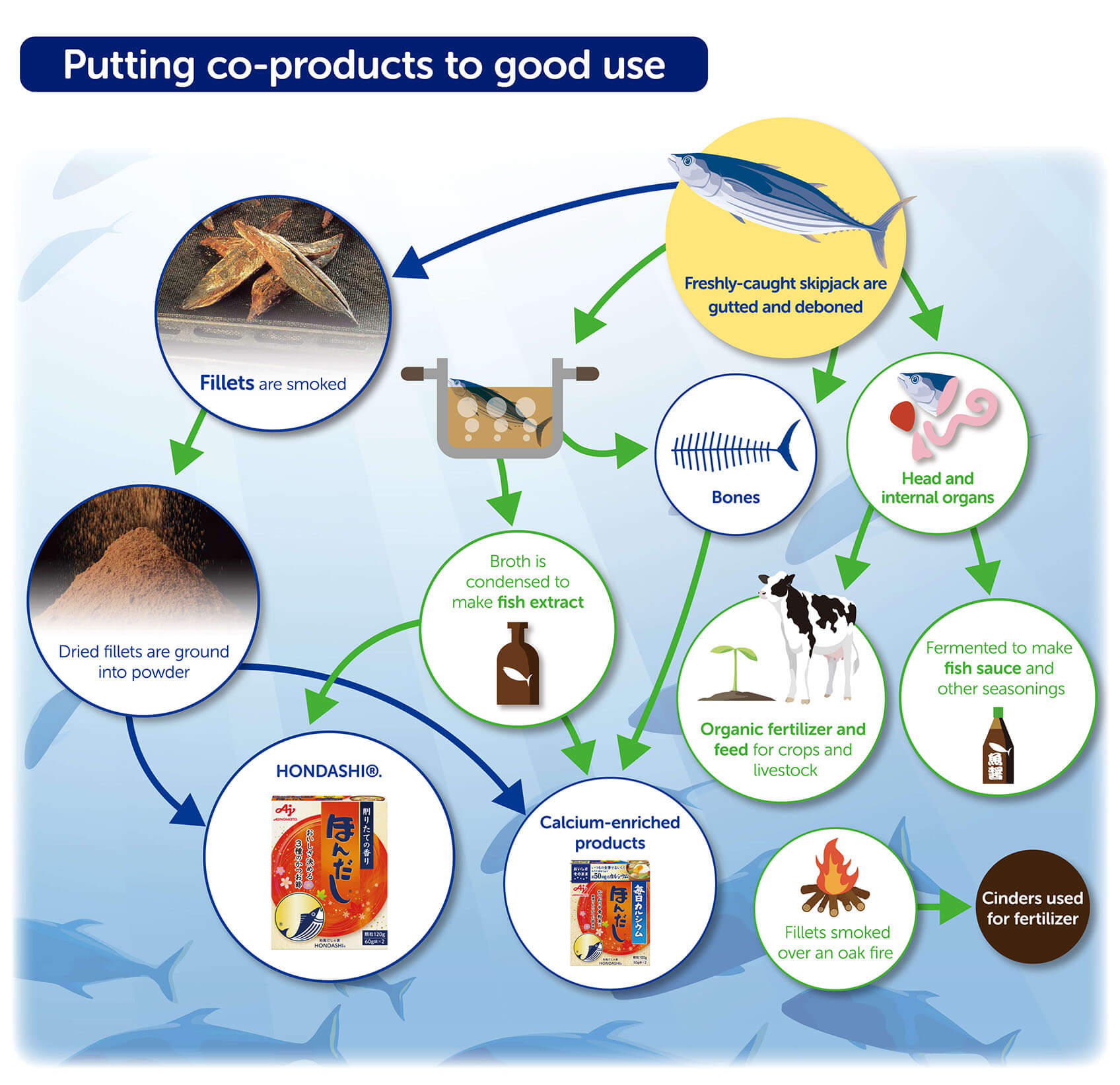 Colocando os co-produtos em bom uso