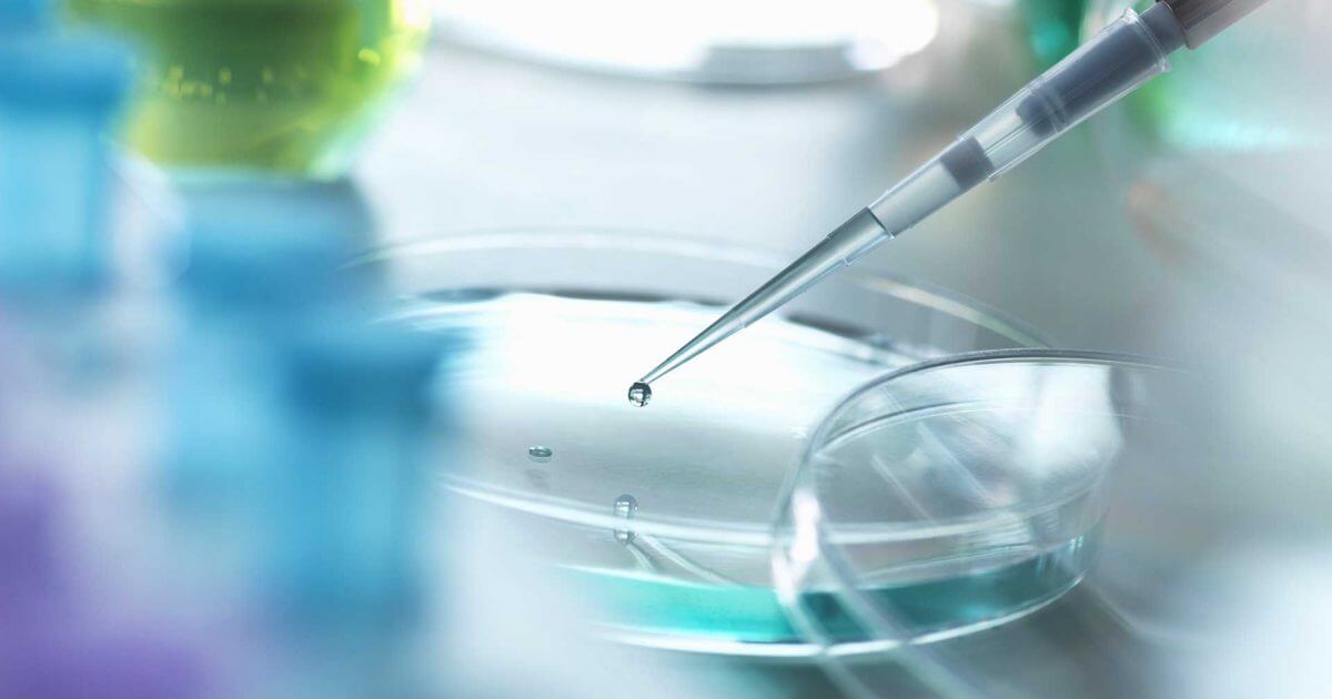 البدء من جديد: إعادة برمجة الخلايا في الطب التجديدي | قصص | موقع مجموعة أجينوموتو العالمية - تناول الطعام بشكل جيد، عش بشكل جيد.