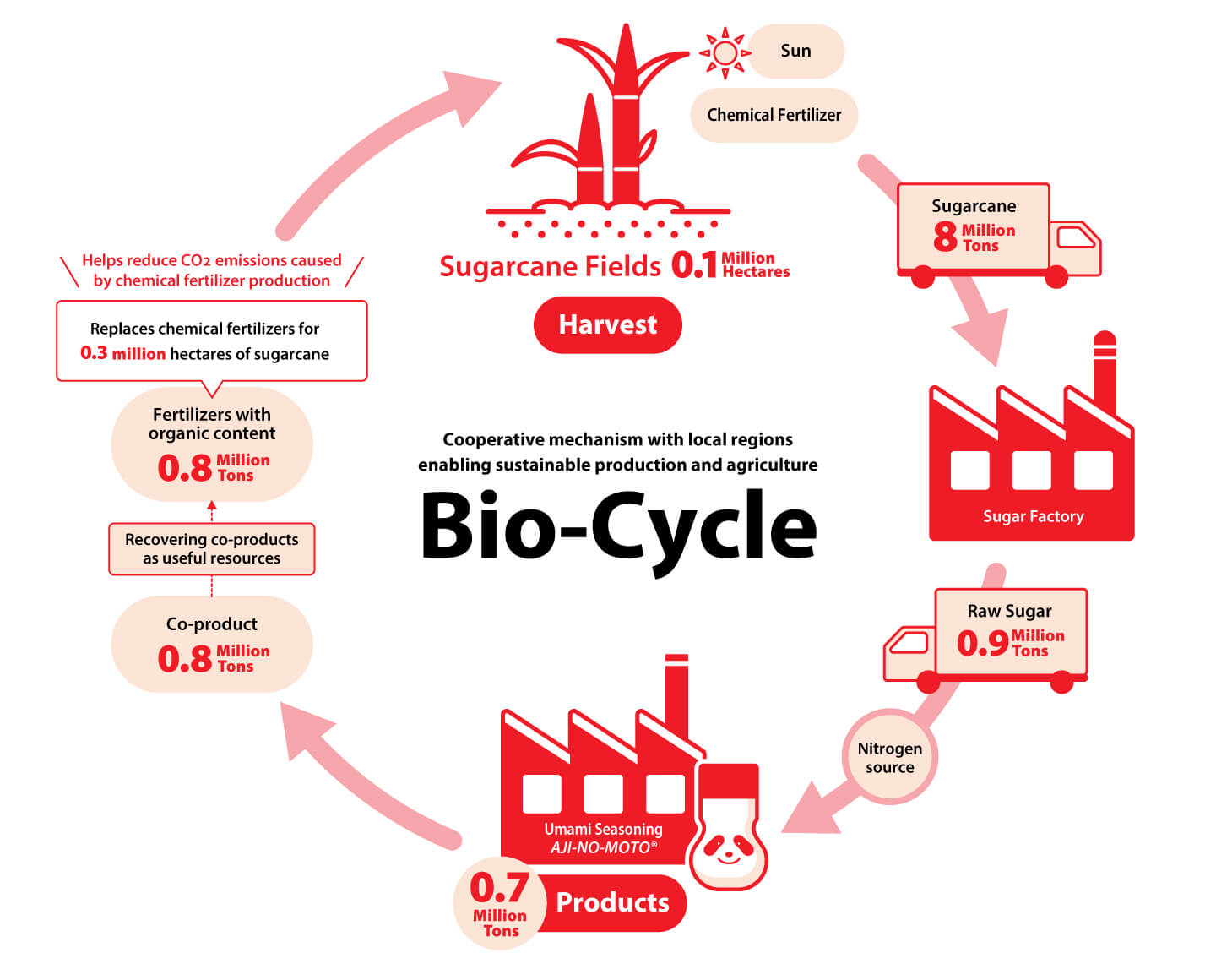 Le cycle biologique du groupe Ajinomoto