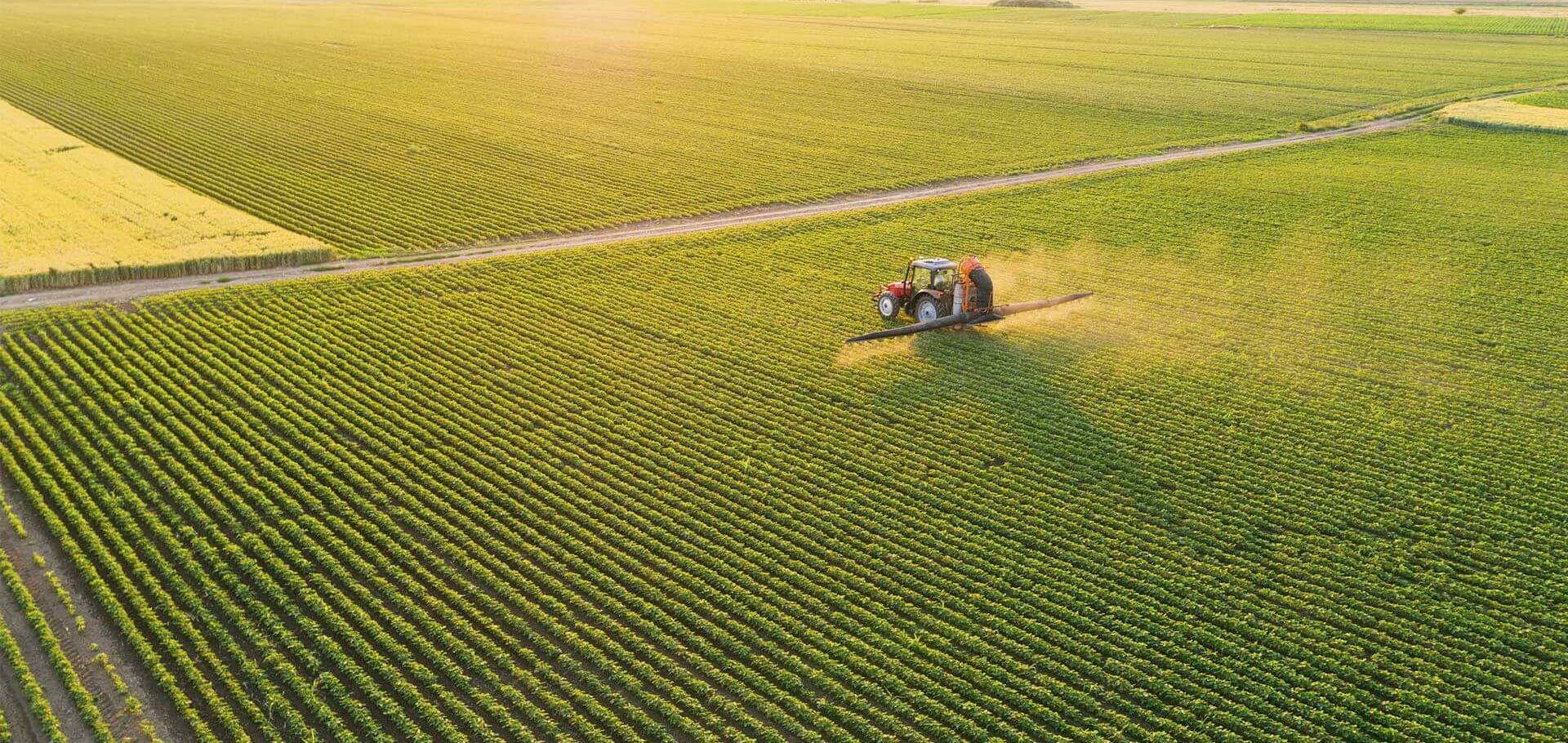 La biomasa renovable reduce las emisiones de CO₂