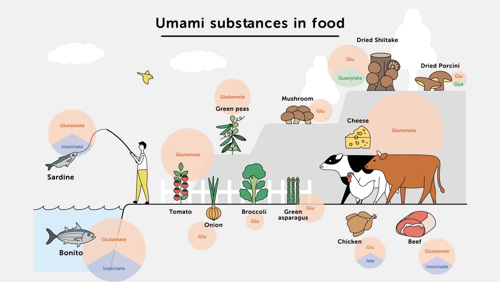 Sustancias Umami