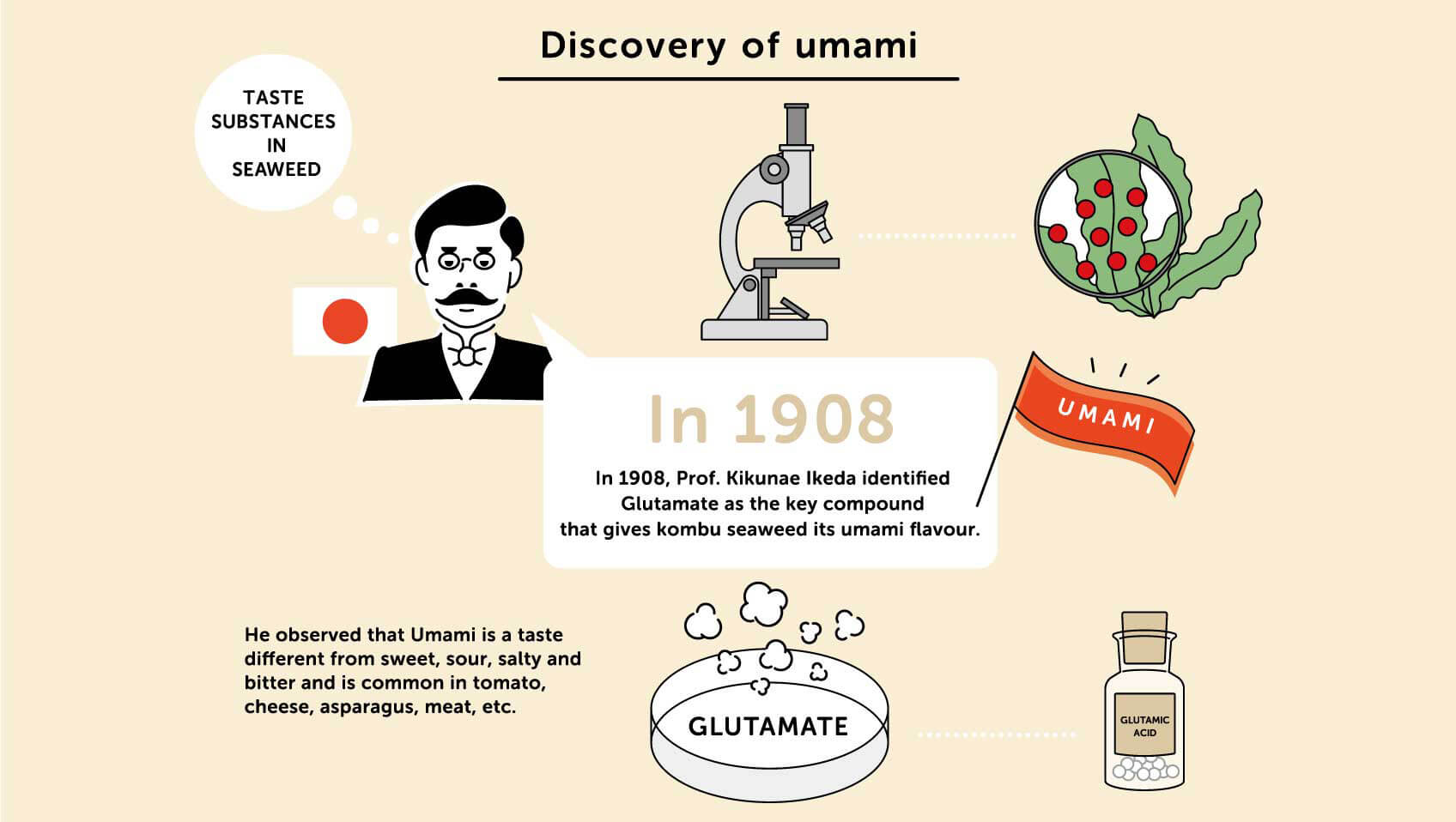 ¿Qué es el descubrimiento de Umami?